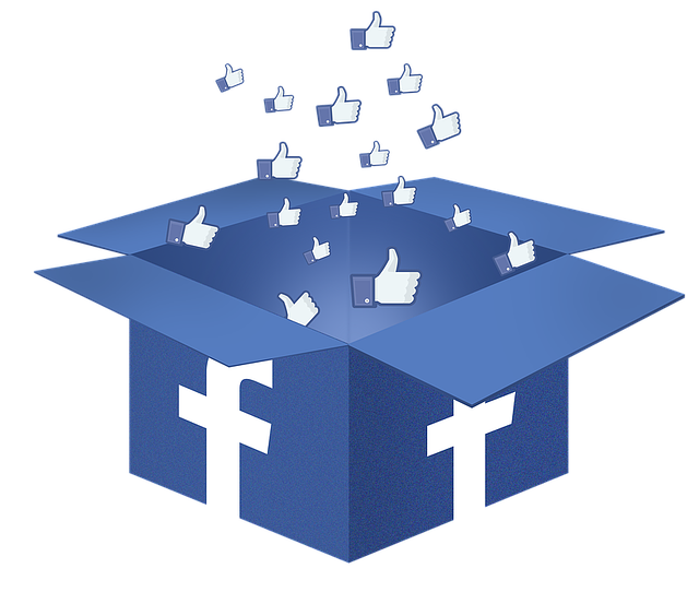 Facebook Box 1334045 640 · campaña de Facebook Ads que no convierte · 8Pecados