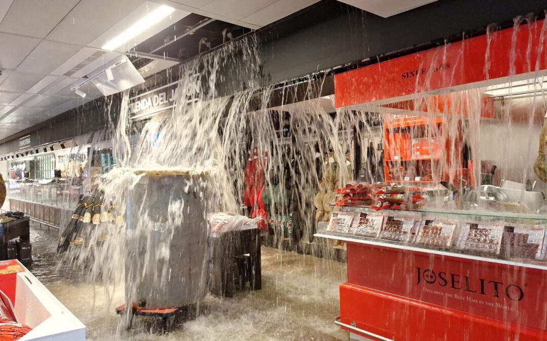 Impacto de la DANA en el Comercio de Málaga