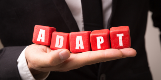 Seo Local en Málaga Reviews Google My Business Empresas