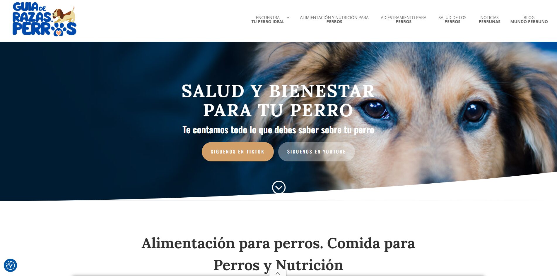 Guía Razas de Perros