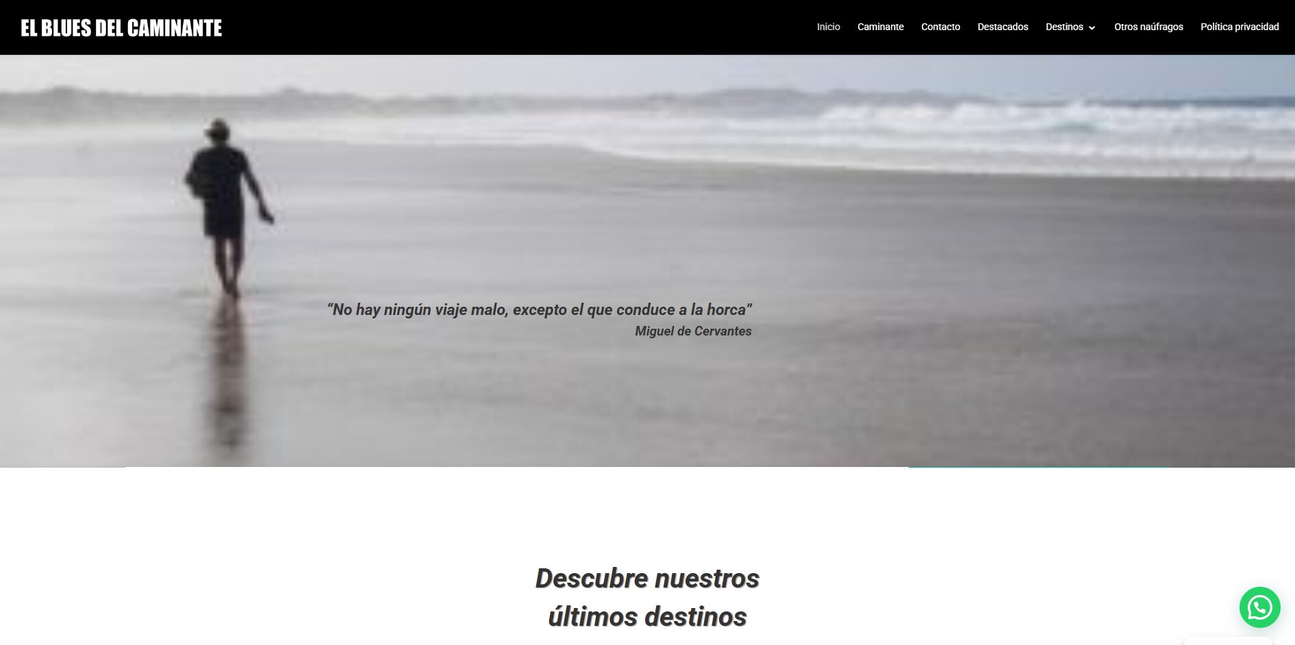 Elbluesdelcaminante