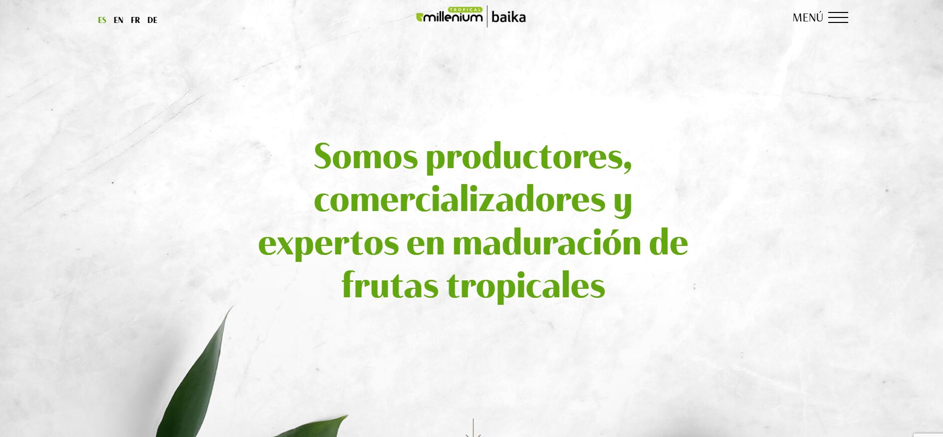 Tropical Millenium